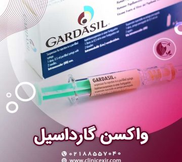 گارداسیل