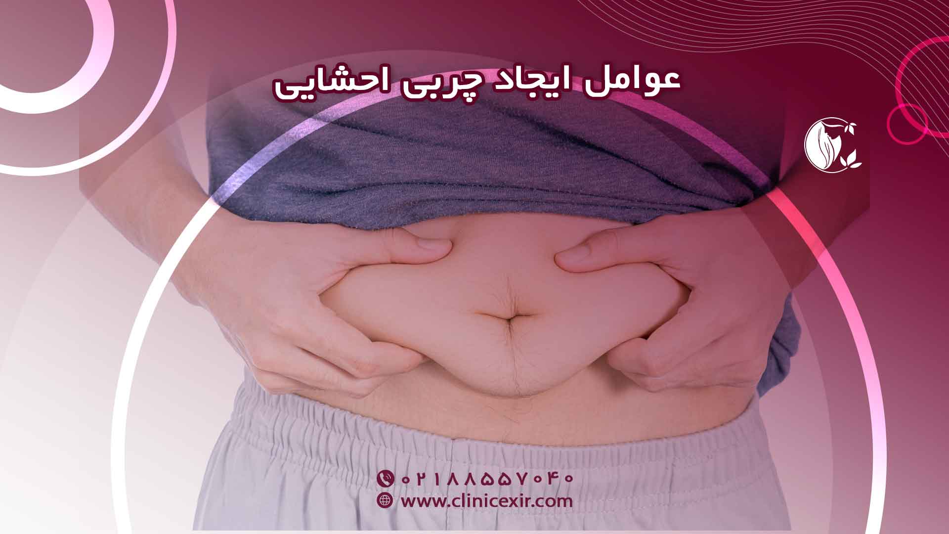 عوامل ایجاد چربی احشایی ریشه‌یابی مشکل