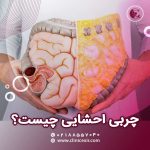 چربی احشایی